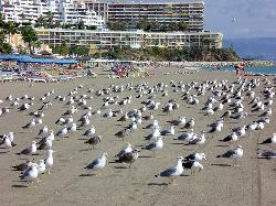 Costa del Sol, zona turistica in Spania