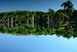 Padurea Amazoniana, zona turistica in Brazilia