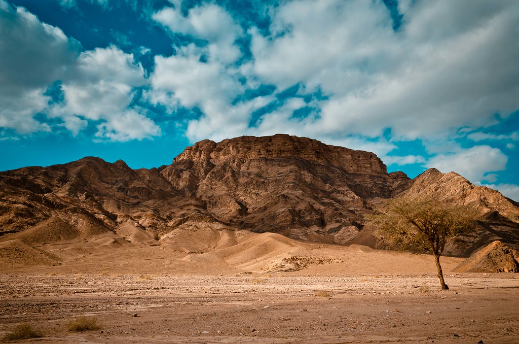 Poze Peninsula Sinai, Egipt